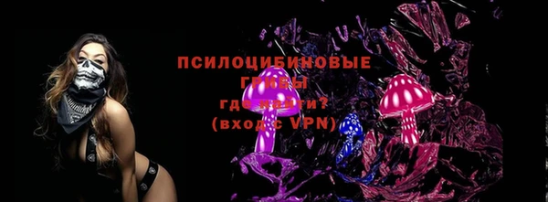 PSILOCYBIN Балабаново
