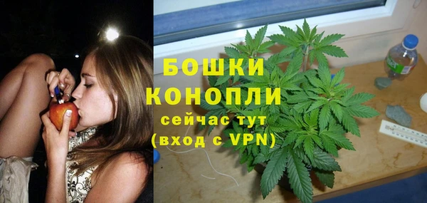 PSILOCYBIN Балабаново