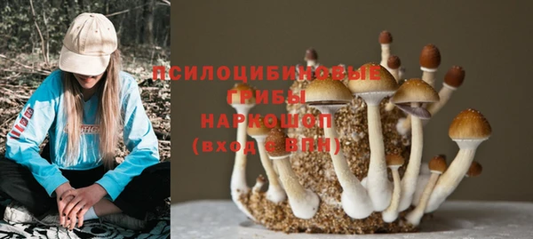 spice Балахна